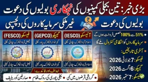 Govt Invites Bids to Privatize Three Major Power Distribution Companies