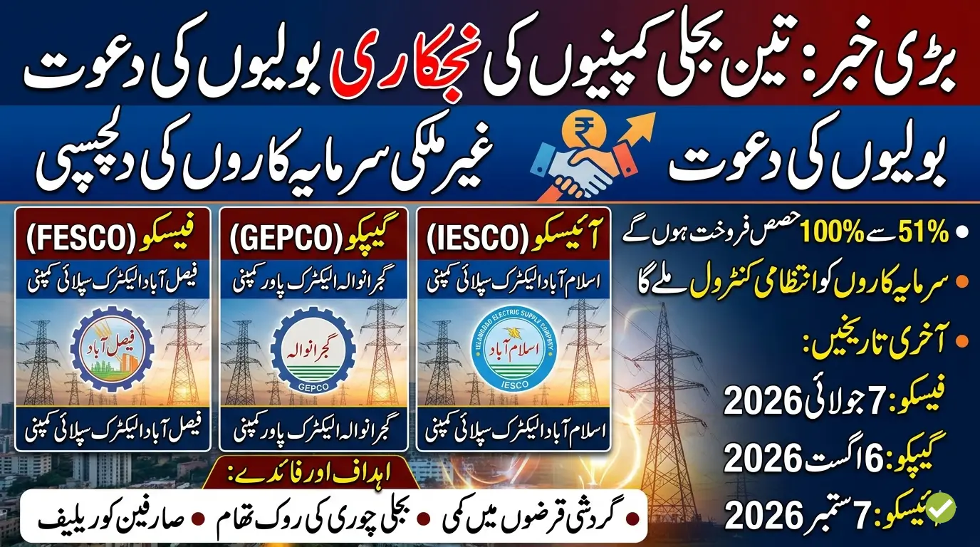 Govt Invites Bids to Privatize Three Major Power Distribution Companies