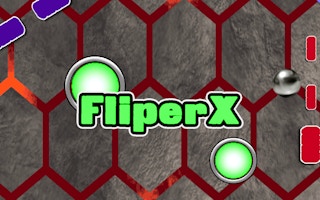 Image FliperX